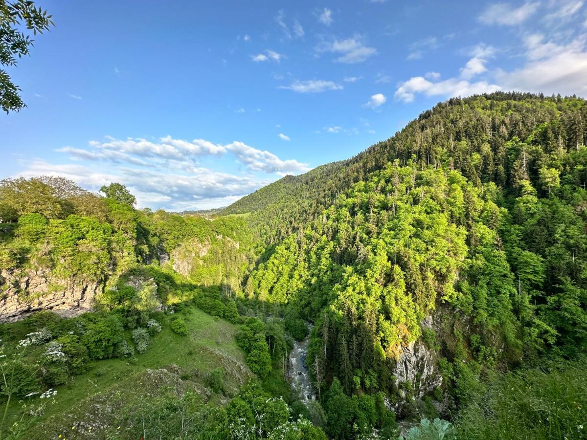 Green Mountain Bordschomi Exterior foto