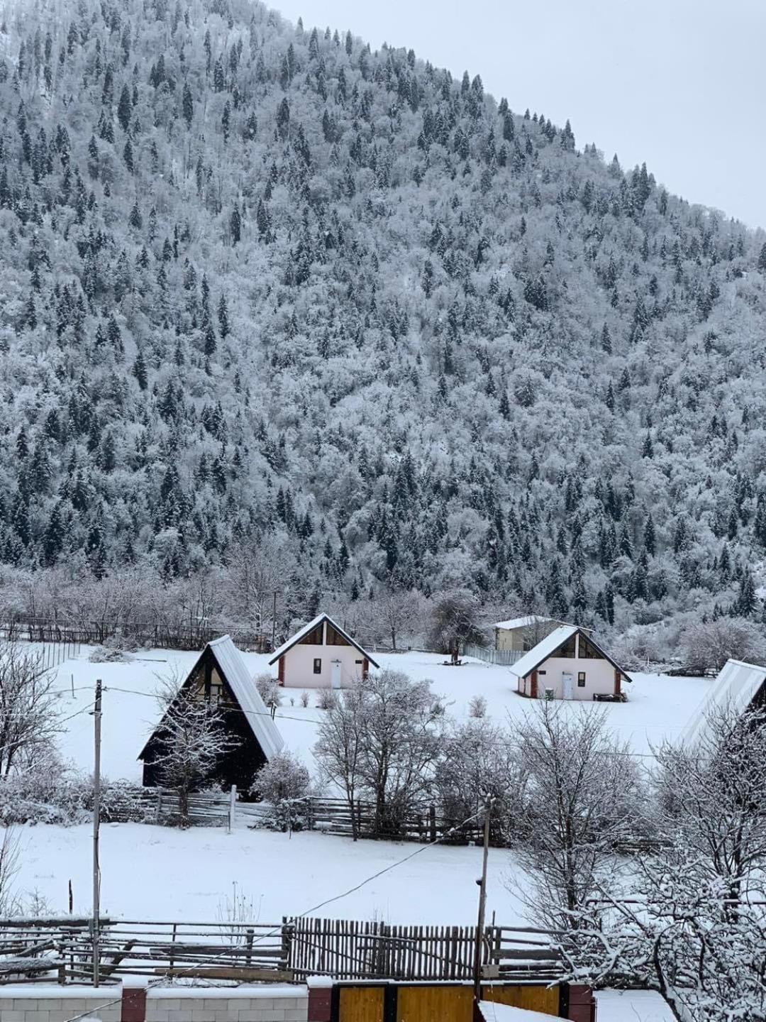 Green Mountain Bordschomi Exterior foto